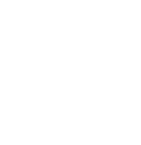 Sandypalmsvacations new logotype (3)
