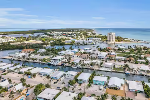 tt50