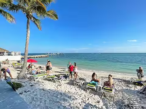 tt56